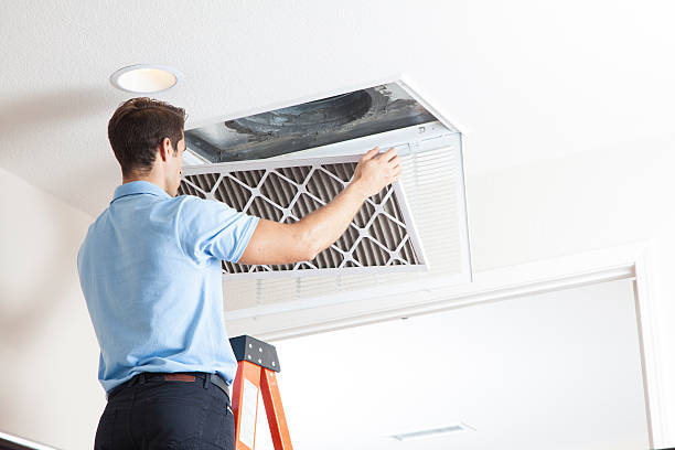 Best HVAC Maintenance Near Me  in Carrollton, IL